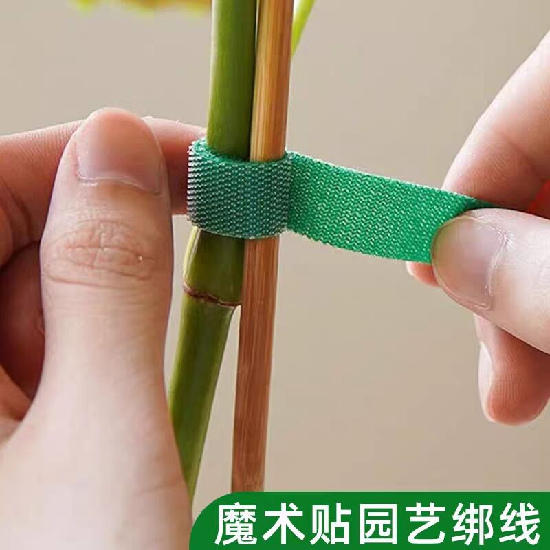 爬藤绿植造型魔术贴花园带强力双面粘园艺扎线捆绑用支撑插花固定