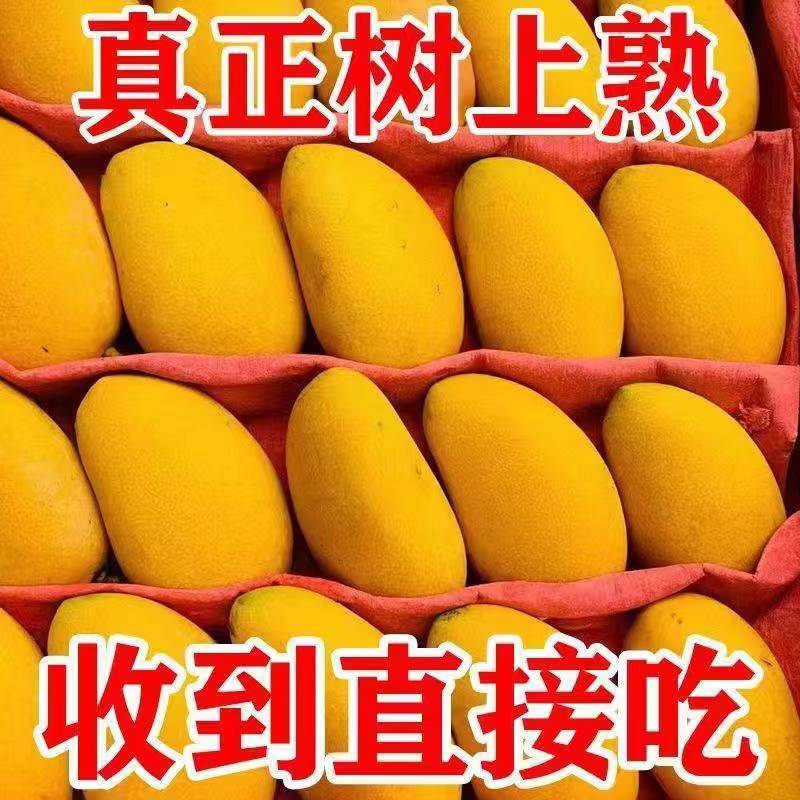 广西芒果小台农芒果新鲜水果产地直发直播当季小台芒果非贵妃金煌