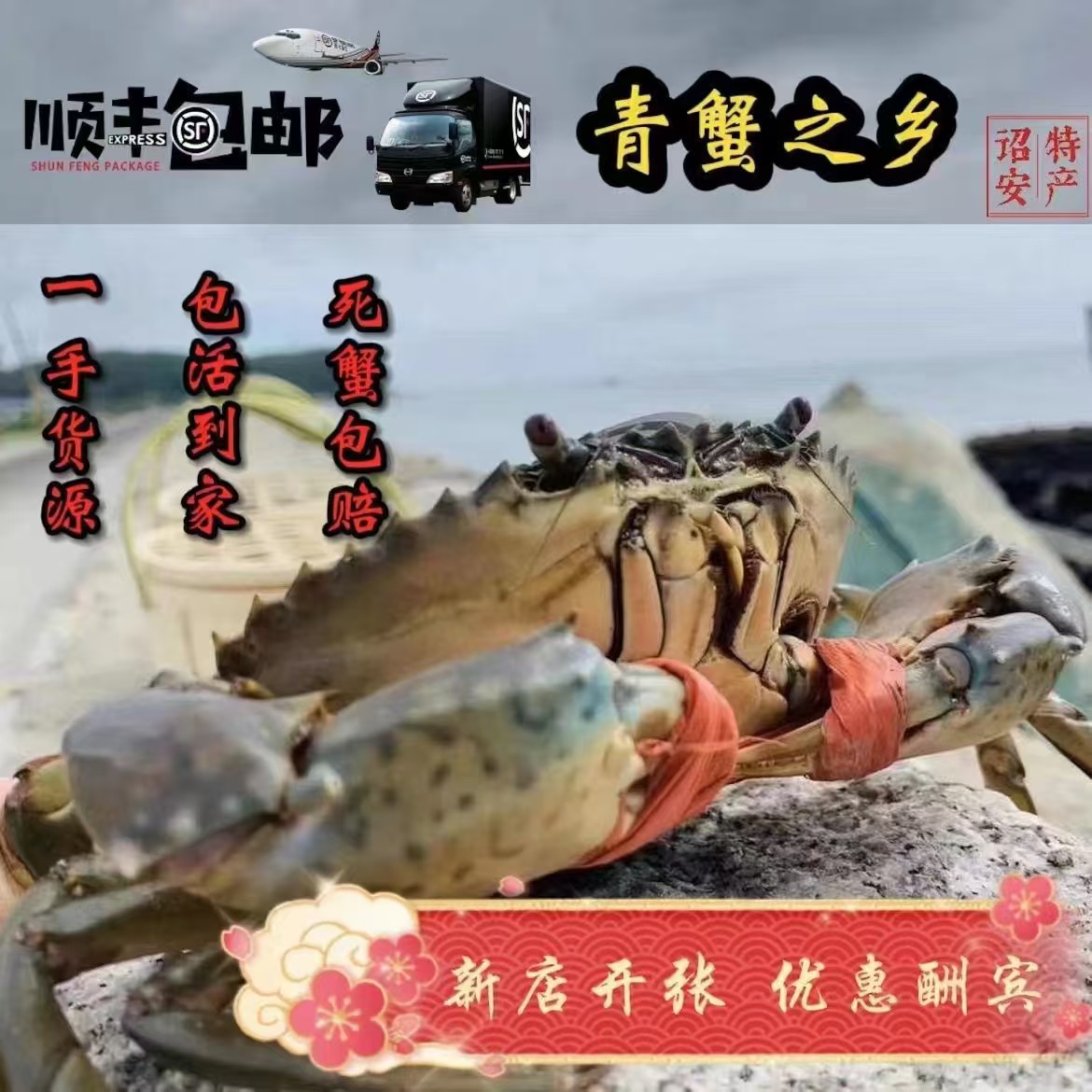 净重青蟹鲜活特大号红膏蟹红鲟4-6两/只母蟹螃蟹包肥包活福建生鲜