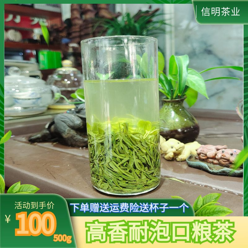 2025年新茶信阳毛尖雨前口粮茶包邮250g500g1000g毛尖茶2025茶叶