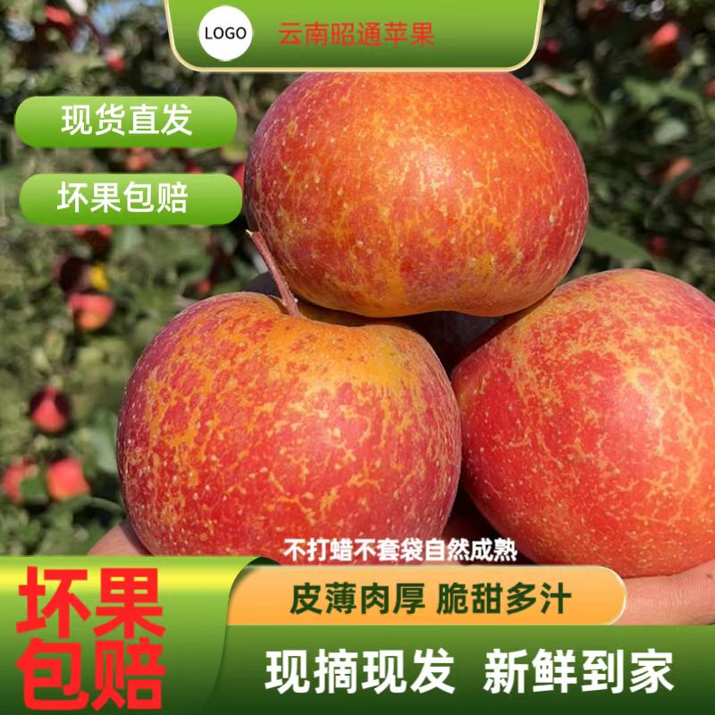 云南昭通苹果现摘现发当季新鲜孕妇水果脆甜可口3斤5斤10斤整箱