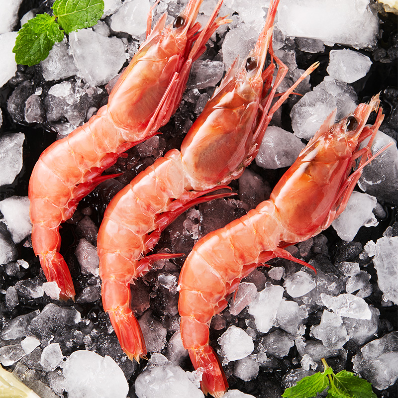 舟山中红虾刺身品质船冻海捕鲜冻海鲜速冻水产新鲜