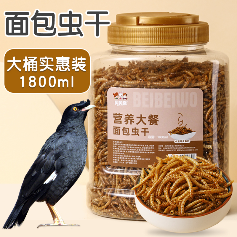 贝贝窝芦丁鸡饲料面包虫干八哥幼鸟食粮黄粉虫干鹦鹉吃的虫子零食