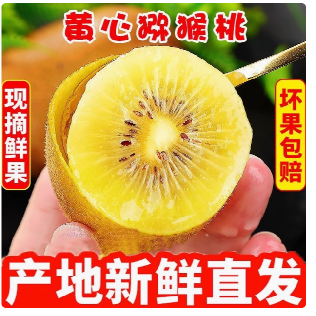 帆儿庄园黄心猕猴桃一整箱新鲜水果应季时令生鲜果园现摘金桃