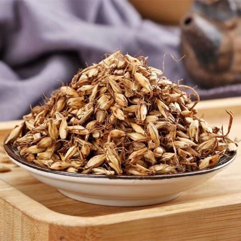 炒麦芽 正品炒麦芽 炒麦芽的功效与作用商品净重足称麦芽茶