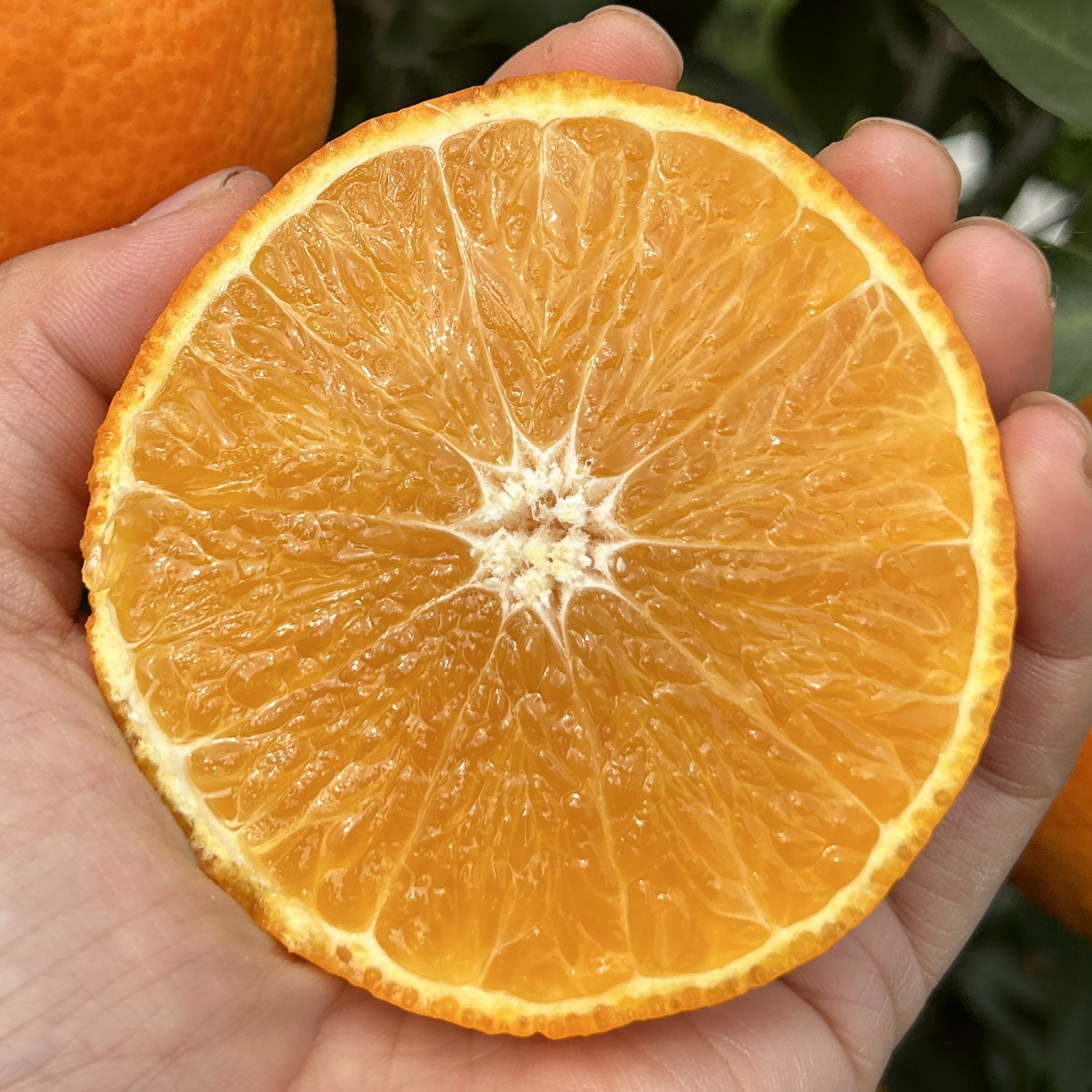 京东快递 四川爱媛38号果冻橙 新鲜应季水果酸甜爆汁 2-8斤果冻橙