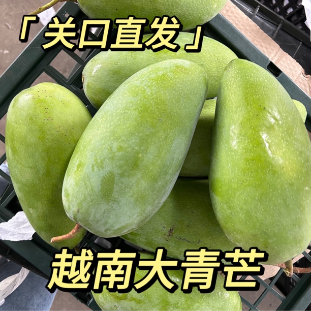 正宗越南大青芒新鲜芒果脆芒果进口食用生熟青芒果两吃胖崽芒果