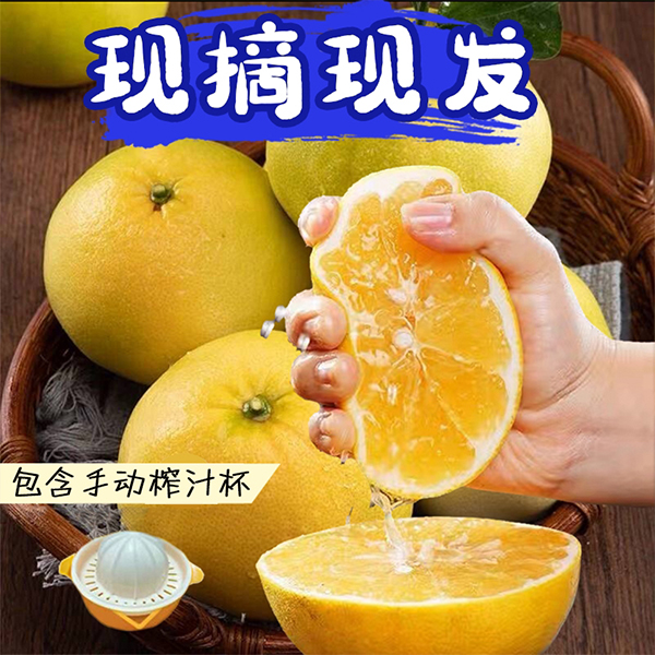 福建爆汁黄金葡萄柚当季水果清甜可口4.5斤彩箱SSS