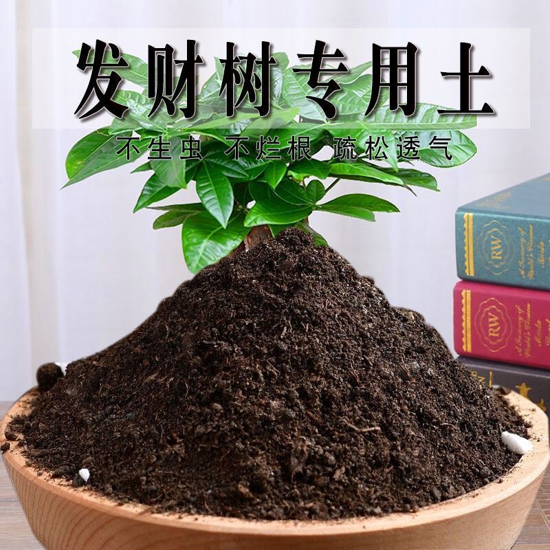 发财树专用土发财树营养土盆栽花卉酸性土养花通用型家用种植土壤