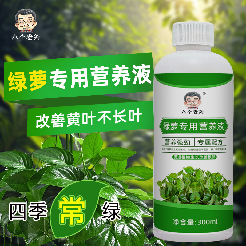 绿萝营养液专用肥料家用植物盆栽吊兰水培通用型绿箩营业液叶面肥
