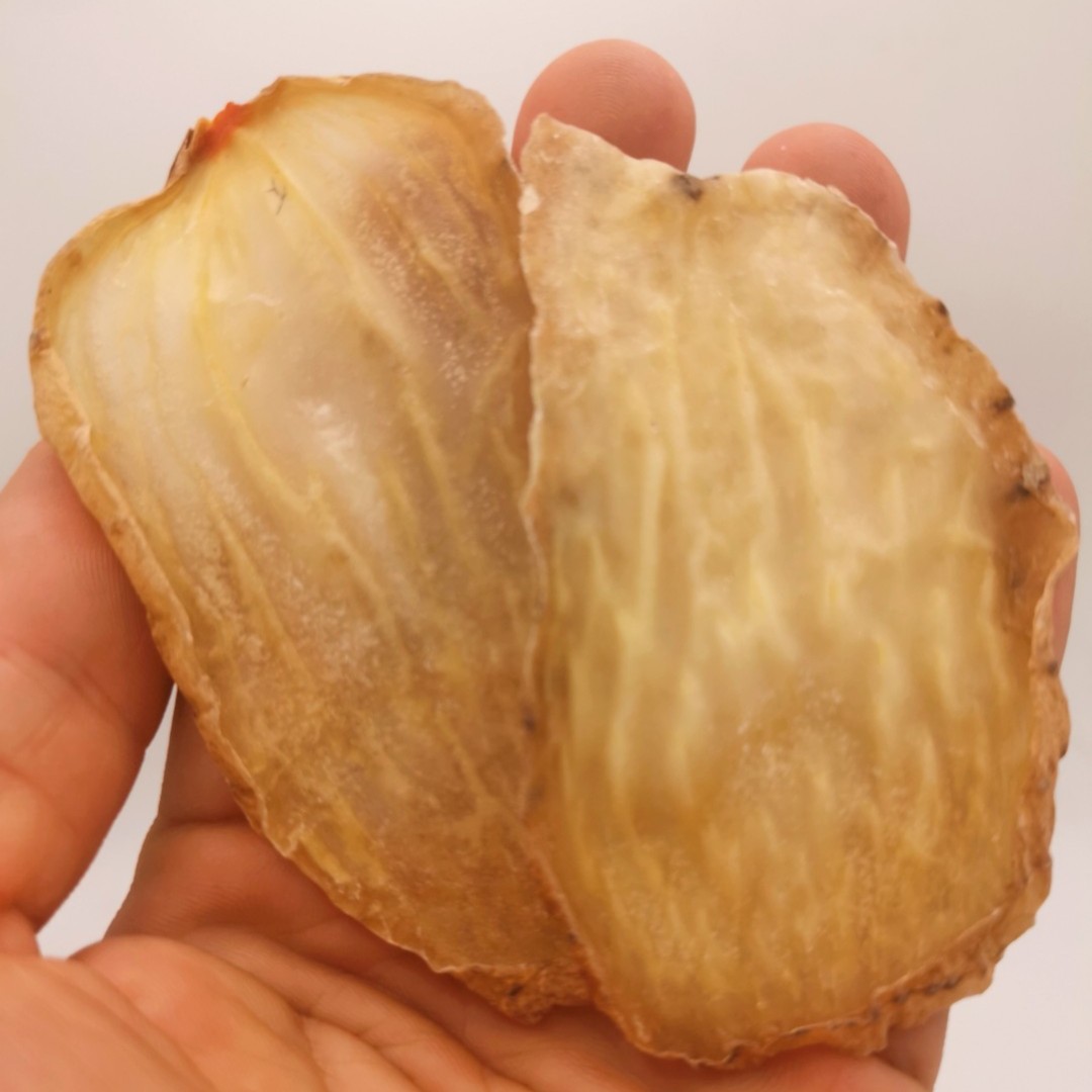 昭通大片天麻200克煲汤茯苓