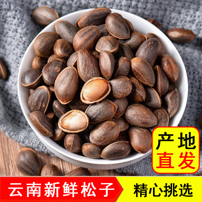 云南松子新鲜原味（生松子）挑选的颗粒饱满落水贵州松子袋装不加工