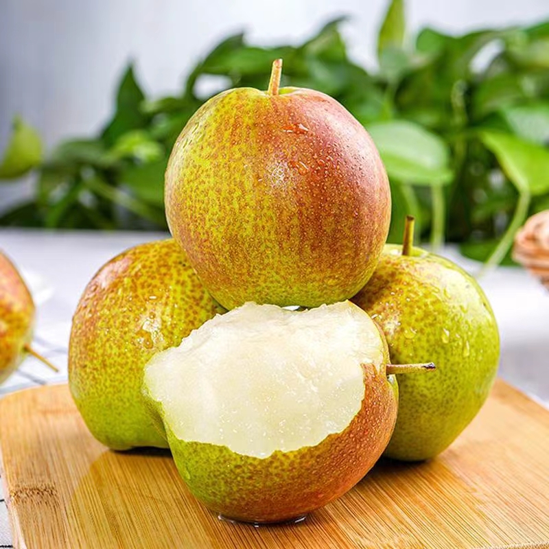 玉露香梨3/ 5/9斤赵县玉露香酥脆多汁早酥梨新鲜水果生鲜食用好吃