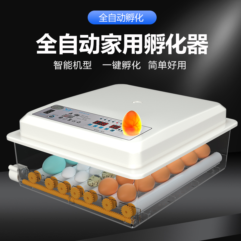新伟达【鸡鸭鹅】小型孵孵小鸡全自动孵化器家用