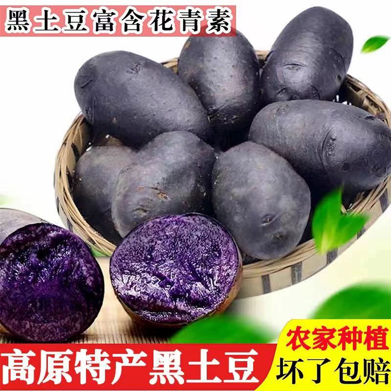 新鲜现挖黑土豆农家紫色马铃薯洋芋黑金刚黑美人买就送批发包邮