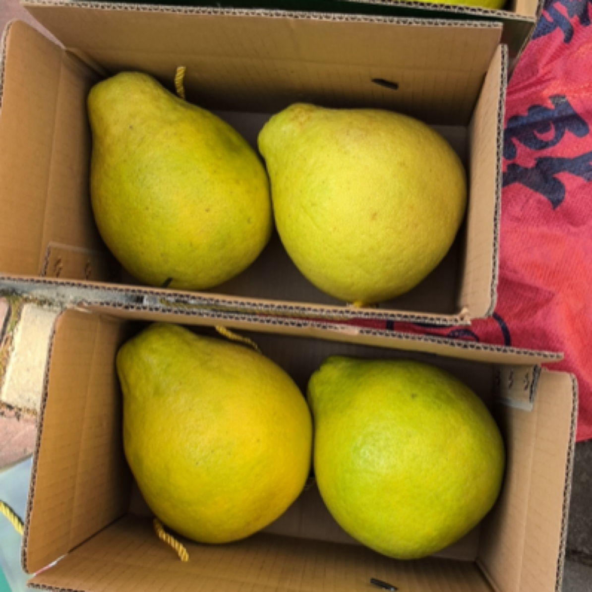 容州中平正宗广西容县沙田柚纯甜不酸新鲜水果应季水果水分足