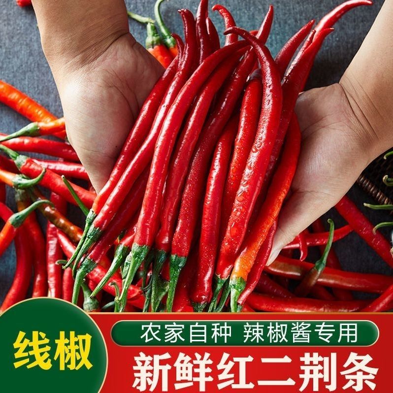 辣椒新鲜红辣椒二荆条红线椒贵州红海椒香辣红青椒做剁椒净重一斤