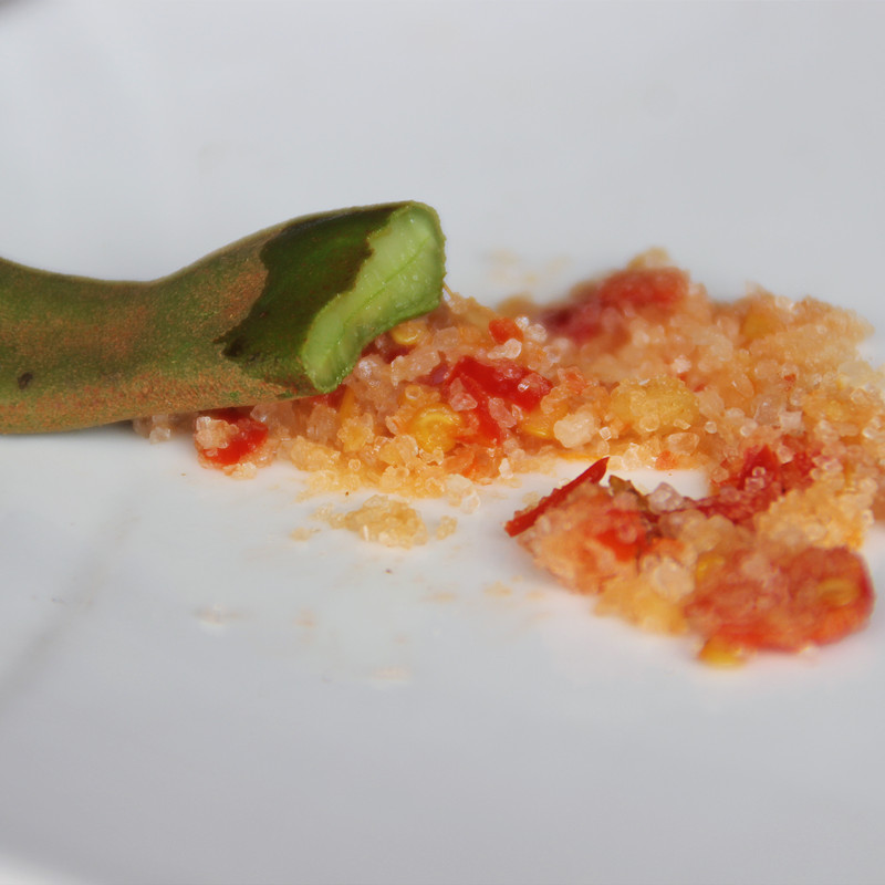 海南儋州生酸梅 酸豆 酸角三亚酸鱼汤原料中小果500G