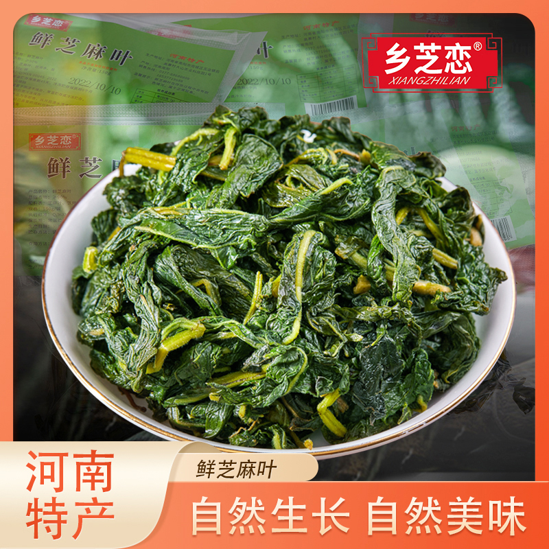 河南芝麻叶鲜湿盐渍农家凉拌新鲜优质食用精选凉拌产品制作好
