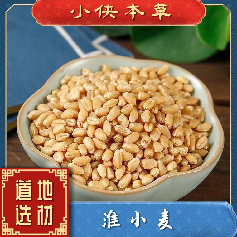 【小侠本草】淮小麦道地正宗另有浮小麦高品质可搭配枸杞