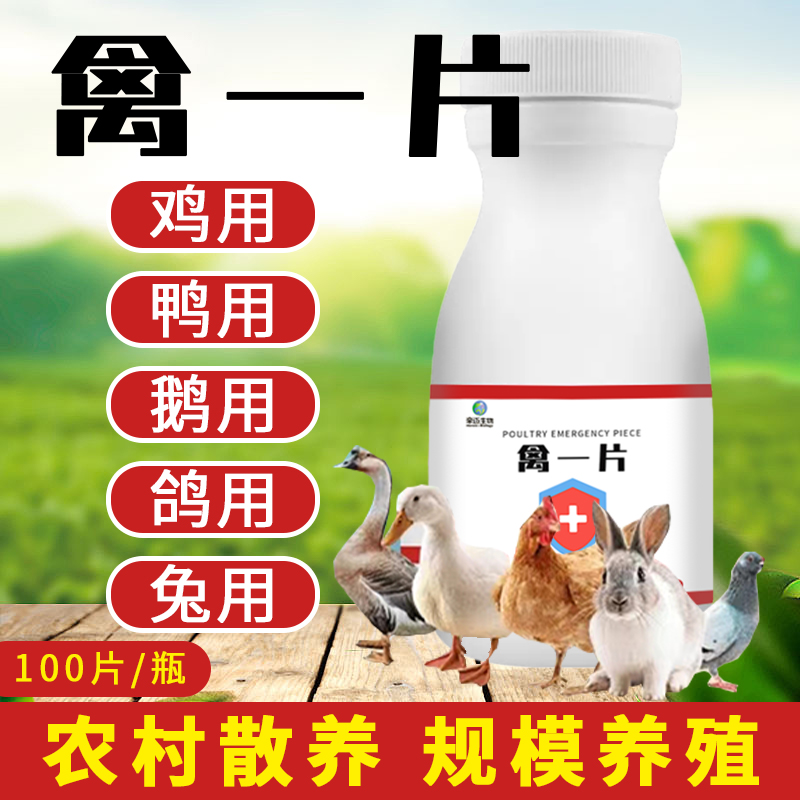 禽一片鸡鸭鹅畜牧鹌鹑鸽子沉耷拉翅膀家庭养殖农村散养添加剂常备