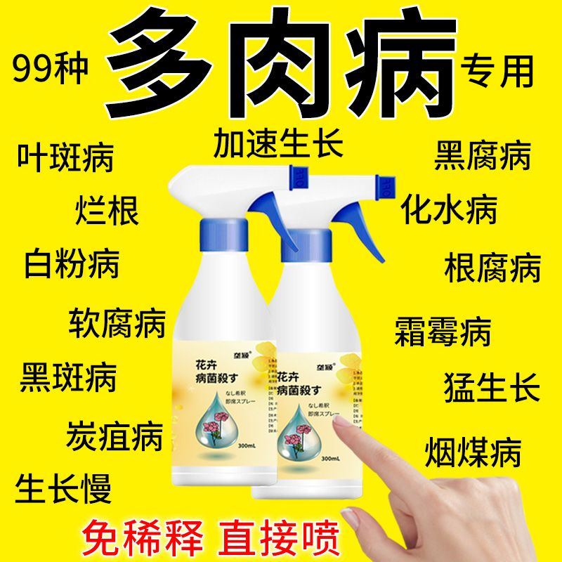 多肉病害清喷剂专用营养液黑腐白粉掉叶烂根黑斑炭疽烟煤锈病肥料