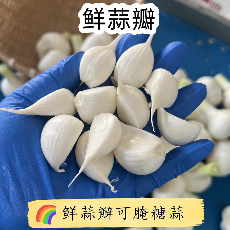 鲜蒜 湿蒜新鲜大蒜瓣苍山四六瓣腌糖蒜用