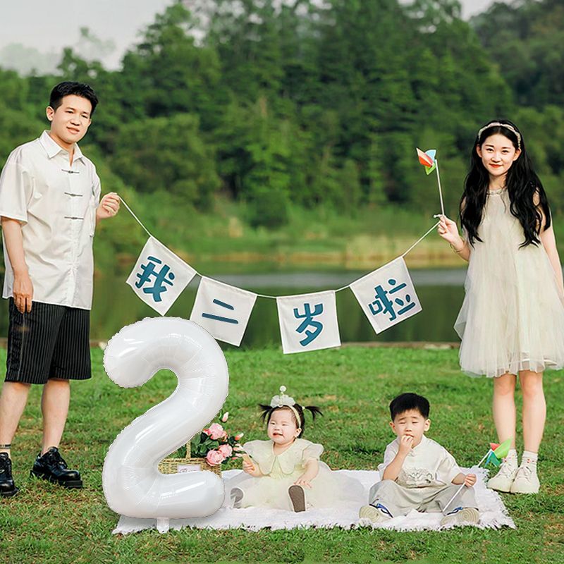 2岁拍照道具户外横幅周岁生日布置装饰女孩男孩宝宝场景仪式感