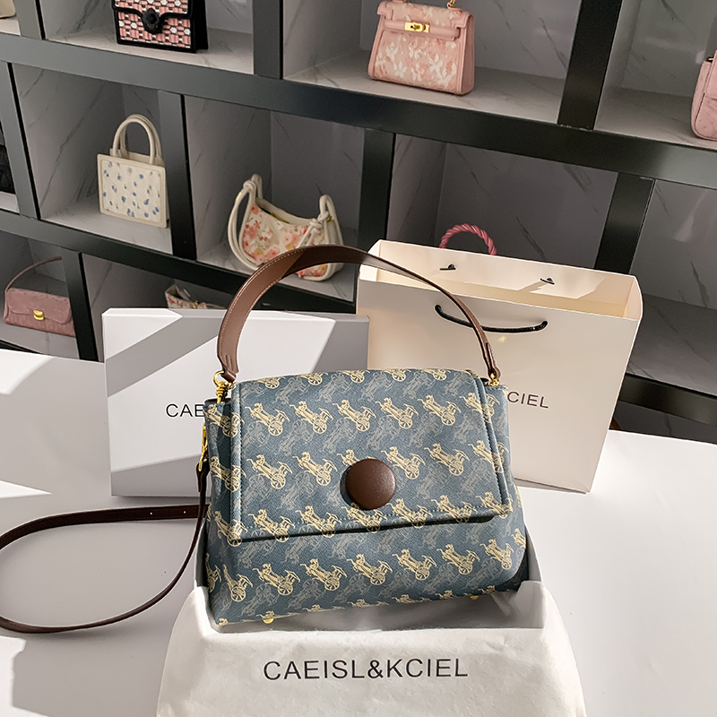 CAEISL&KCIEL女包小众设计印花大容量气质女2025新款单肩腋下包
