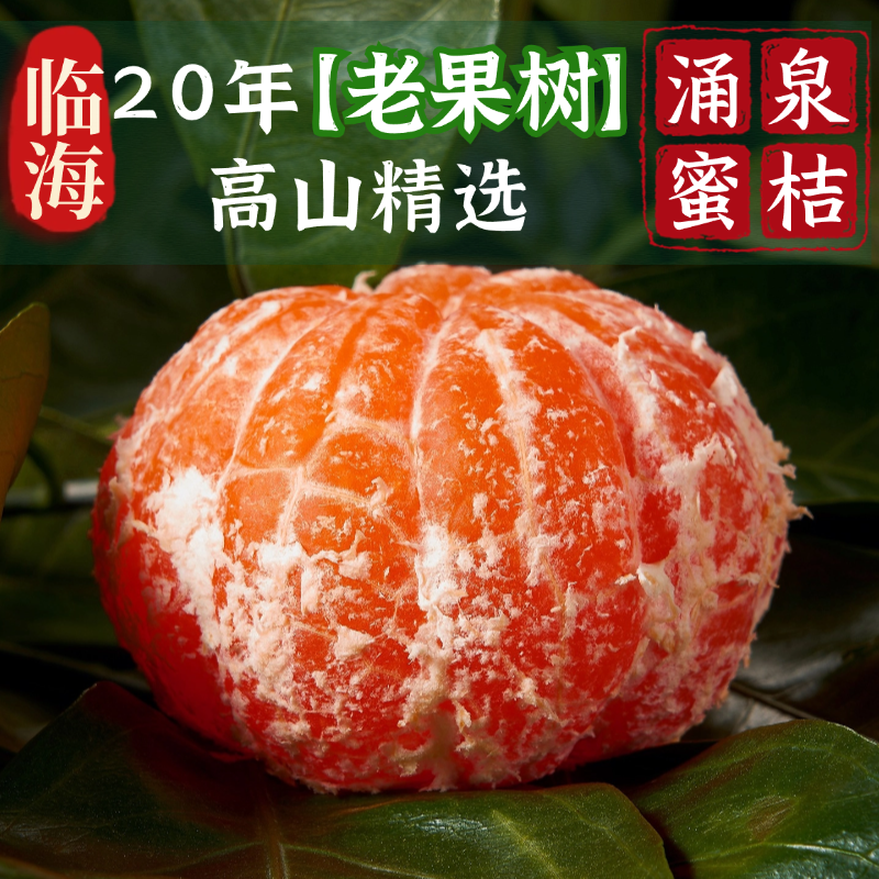 20年高山老果树正宗临海涌泉蜜桔新鲜皮薄现摘产地直供礼盒装