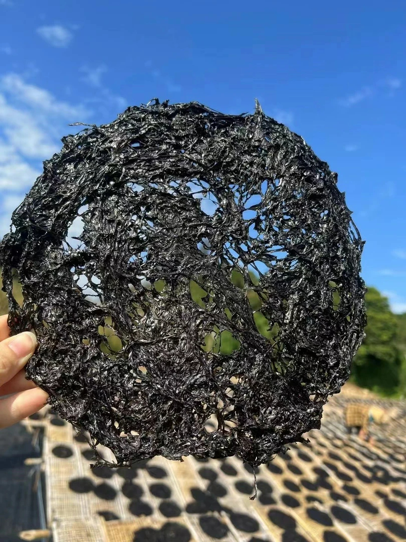 今年新南澳头水紫菜免洗无沙食海鲜特产紫菜海带海藻幼嫩紫菜干货