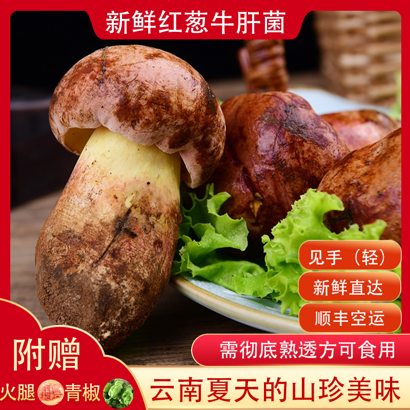 【顺丰空运】新鲜见手青冰鲜红葱牛肝菌精选美味食用蘑菇山珍食材