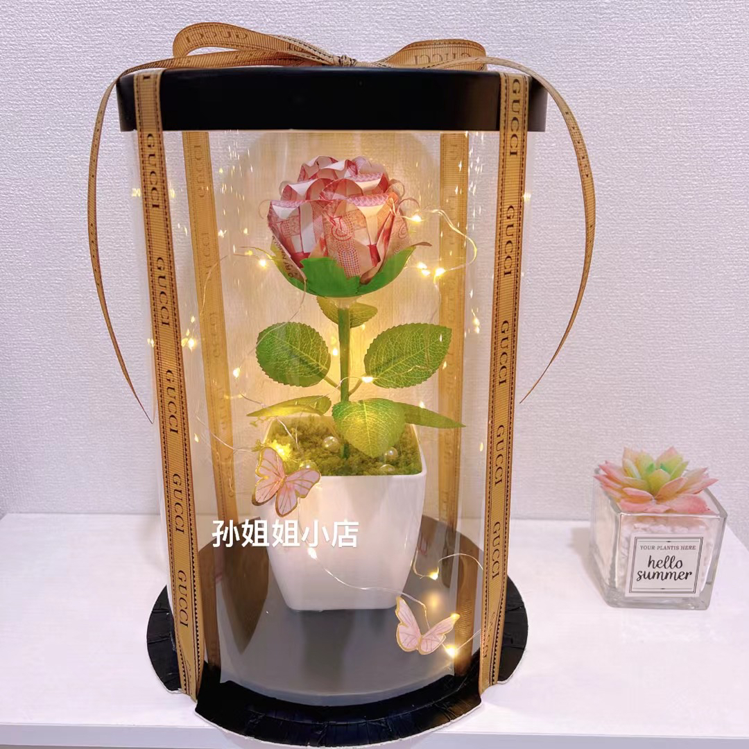 有钱花小盆栽透明礼盒diy材料包（非成品）情人节礼物生日礼物