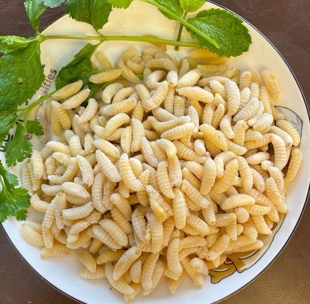 25新货马蜂一二级蛹混合树蜂蜂蛹新鲜食用包邮