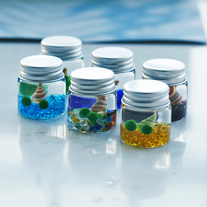 海藻球Marimo生态瓶水培创意迷你懒人diy微景观学生礼物桌面摆件