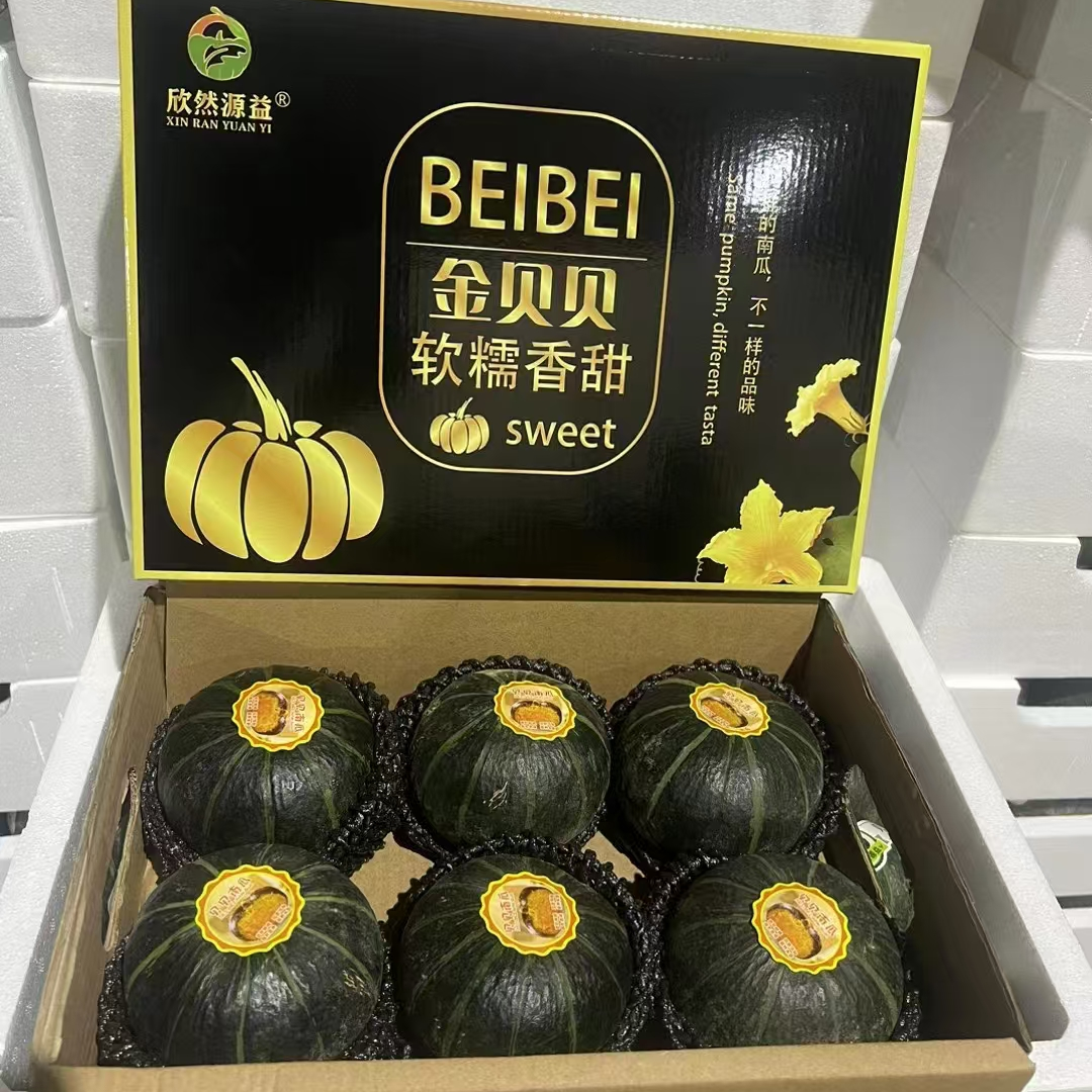 内蒙沙漠粉糯贝贝小南瓜礼盒装