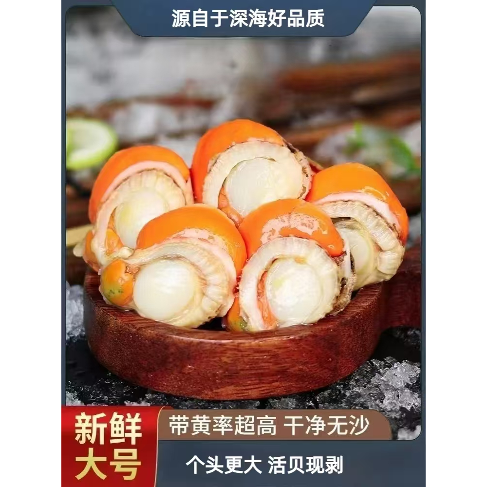 直播间专属福利无冰衣O添加渔家手剥无公害简单扇贝肉