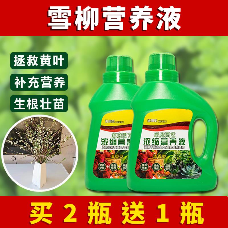 雪柳营养液专用肥料雪柳营养液花肥盆栽绿植水培植花卉通用型