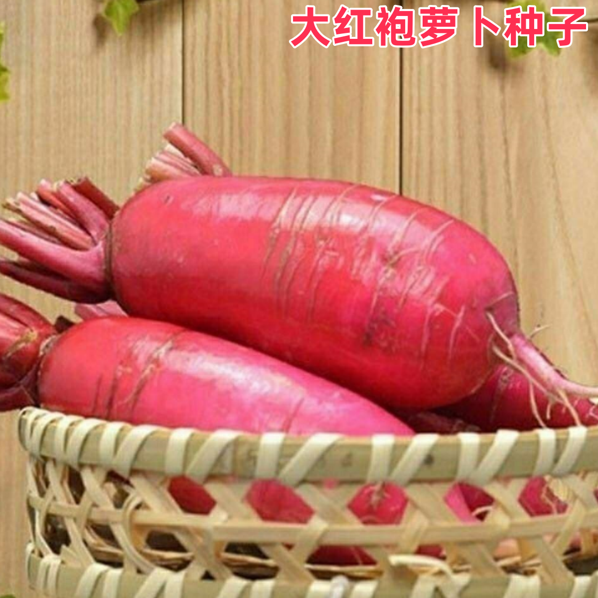 大红袍萝卜种子白心红皮满身红萝卜种籽耐高温四季播盆栽蔬菜种孑
