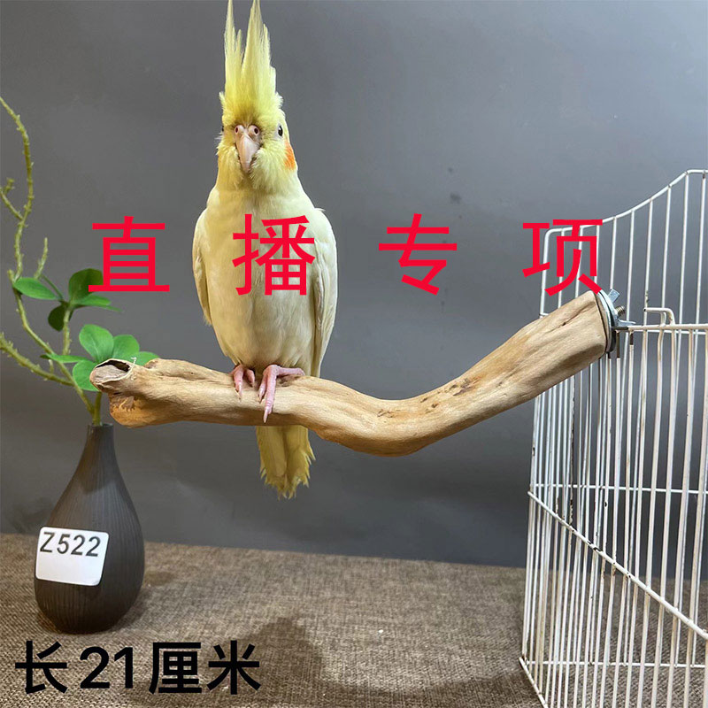 (一物一拍）鹦鹉站架根艺玄凤玩具解闷自嗨架野趣实木架游乐园用品