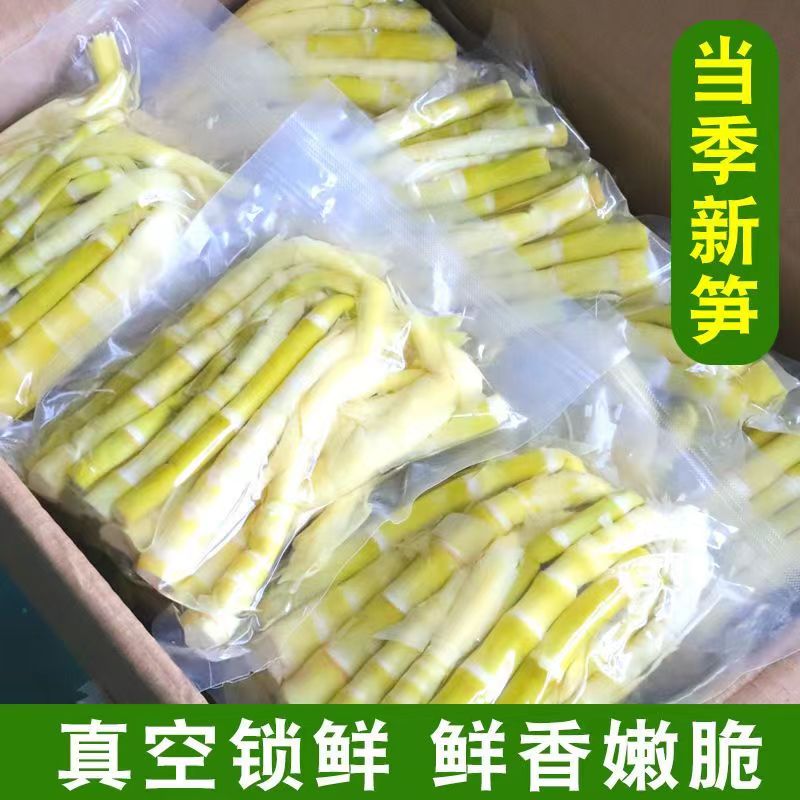 笋农八哥临安天目山新鲜小竹笋青汁野小笋嫩春笋鲜笋500克装鲜嫩