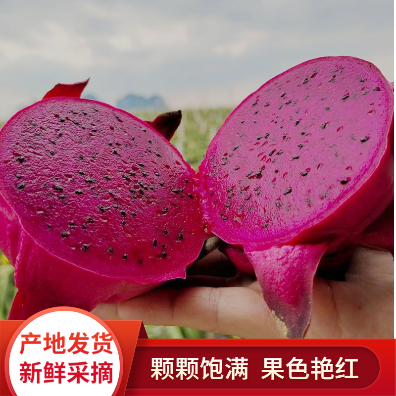 【店家推荐】广西金都一号红心火龙果新鲜皮薄汁水果多产地直发包邮