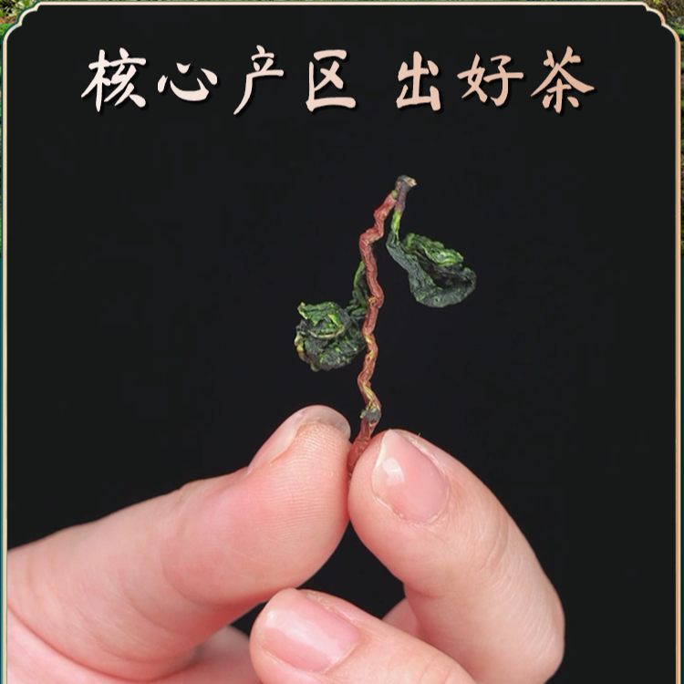 2025年新茶铁观音毛茶带梗兰花香安溪西坪匠心原产产地浓香250g