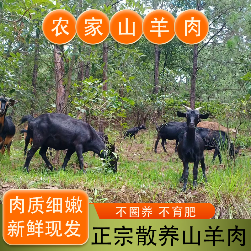 云南农家高山散养山羊肉新鲜原切不挑部位  现宰现发3/斤5/斤