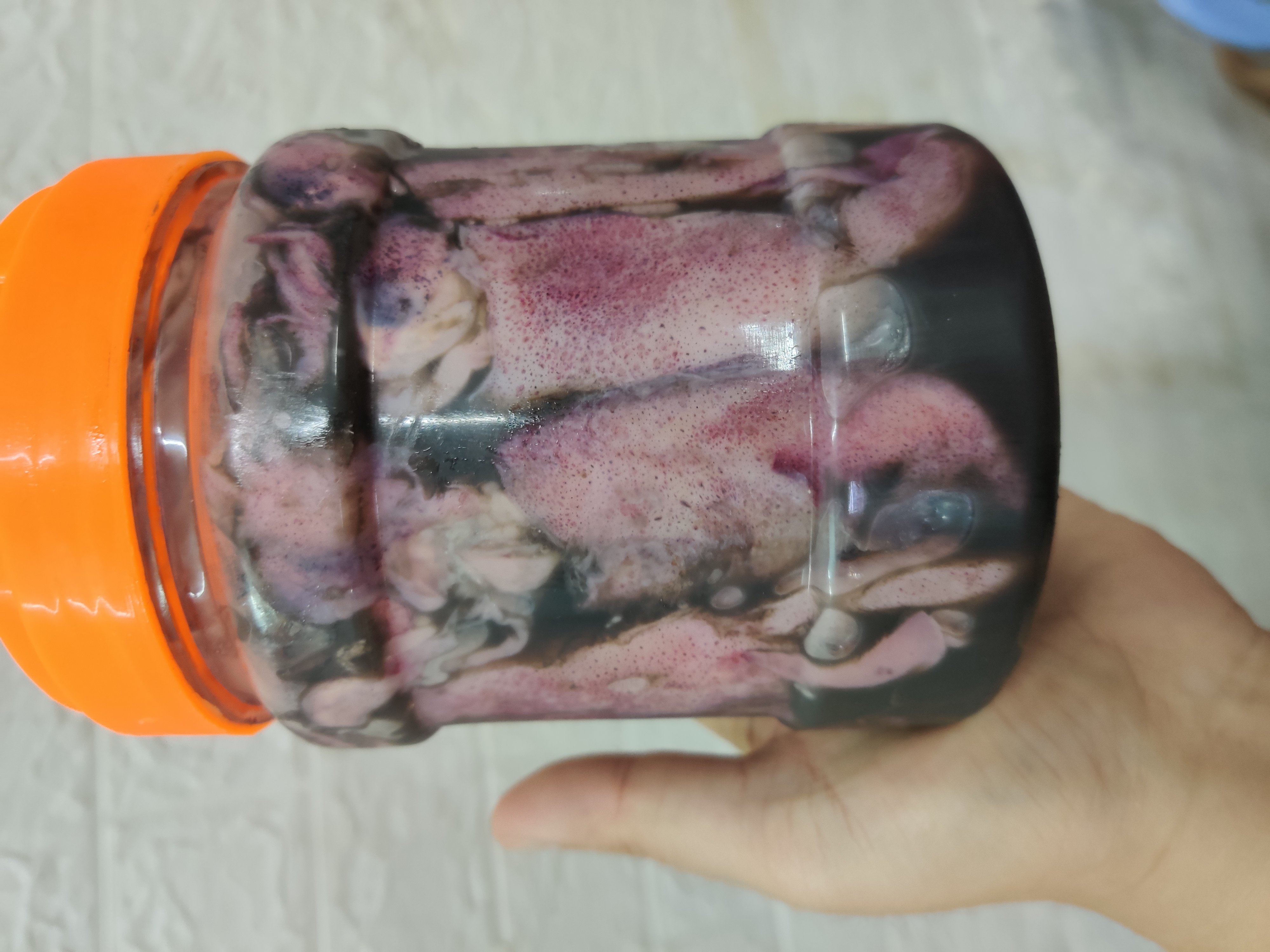 汕尾船腌咸鱿鱼  有春(籽)  1瓶2斤