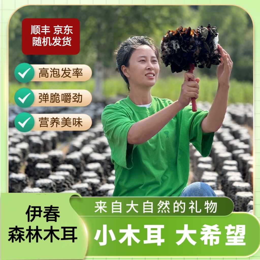 伊春原本自然寒地头茬木耳 肉厚 干净  500g