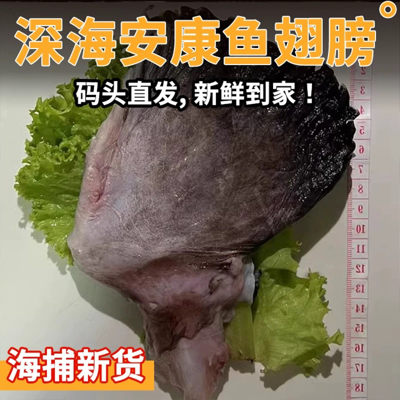 安康鱼翅鱼鳍2斤1包1斤10个左右鱼爪子生鲜海鲜冷链发货