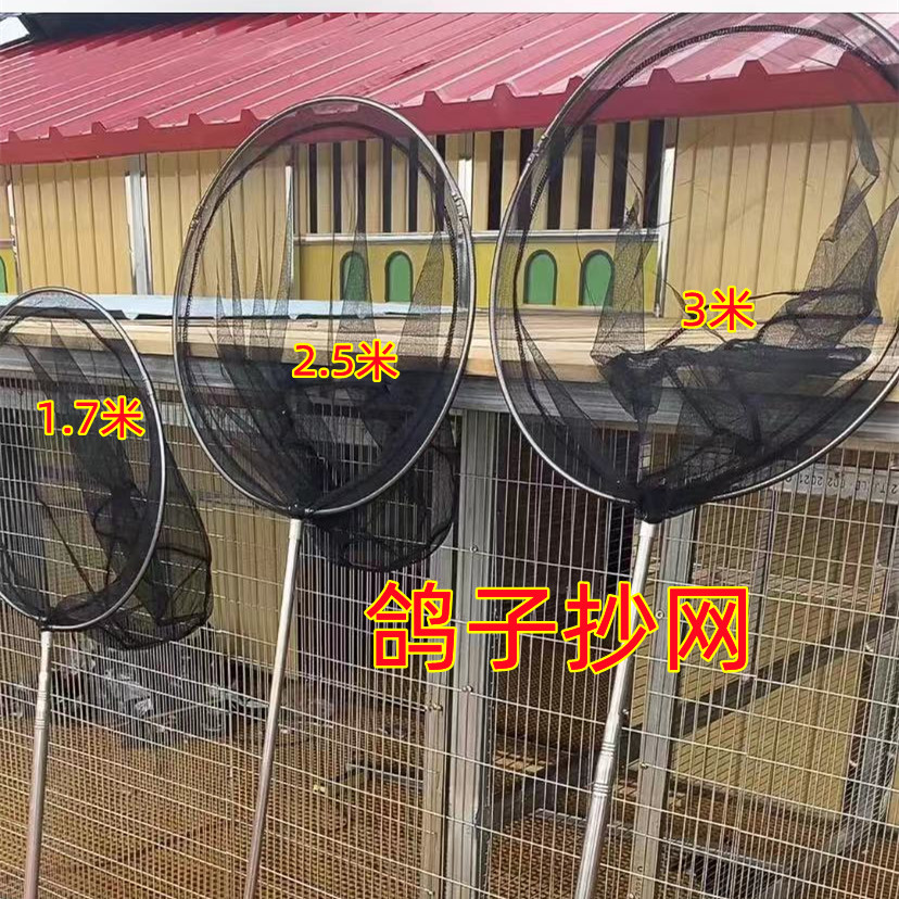 鸽子不锈钢抄网加密鸽子抄网