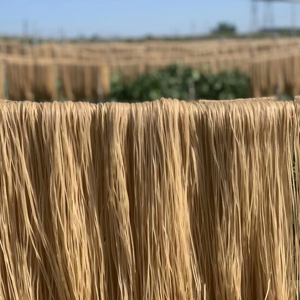 鑫家乡手工红薯粉条传统工艺自然晾晒劲道美味