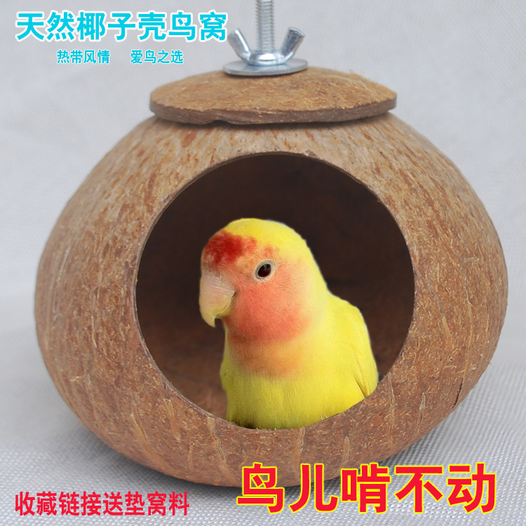 鹦鹉椰子壳保暖鸟窝牡丹珍珠文鸟玄凤鹦鹉纯天然椰壳窝草窝鸟巢鸟